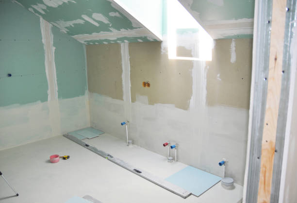 Best Biohazard Mold Removal  in Aurora, NE
