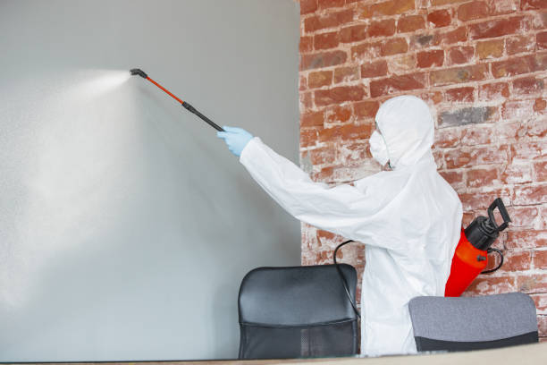 Best Comprehensive Air Testing for Mold Contaminants  in Aurora, NE
