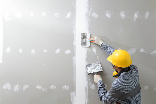 Best Airborne Mold Testing  in Aurora, NE