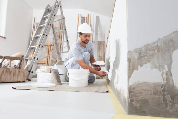 Best Mold Odor Removal Services  in Aurora, NE