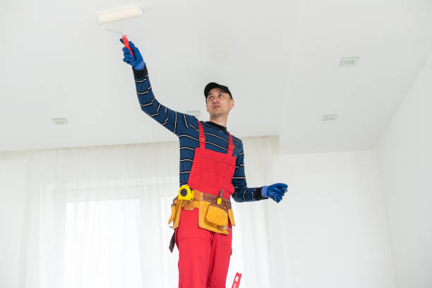Best Post-Construction Mold Inspection  in Aurora, NE