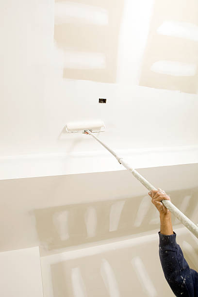 Trusted Aurora, NE Mold Removal Experts