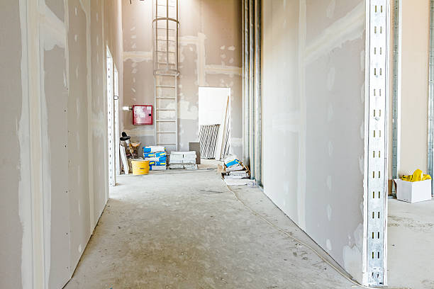 Best Environmental Consulting for Mold Prevention  in Aurora, NE