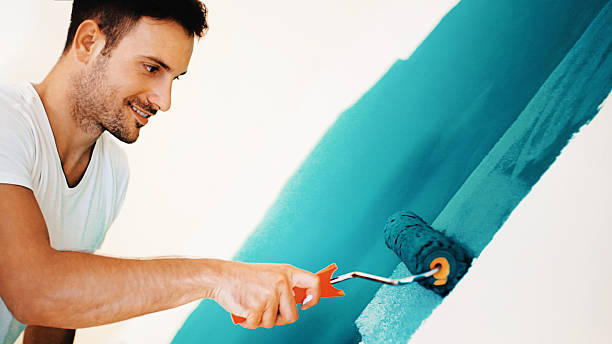 Best Mold Documentation for Insurance Claims  in Aurora, NE