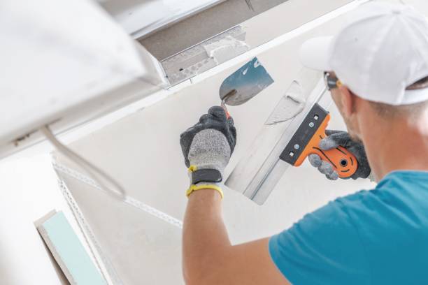  Aurora, NE Mold Removal Pros